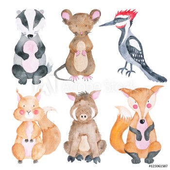 Picture of Woodland Animals Set of Watercolor Illustrations Cute Animals Forest